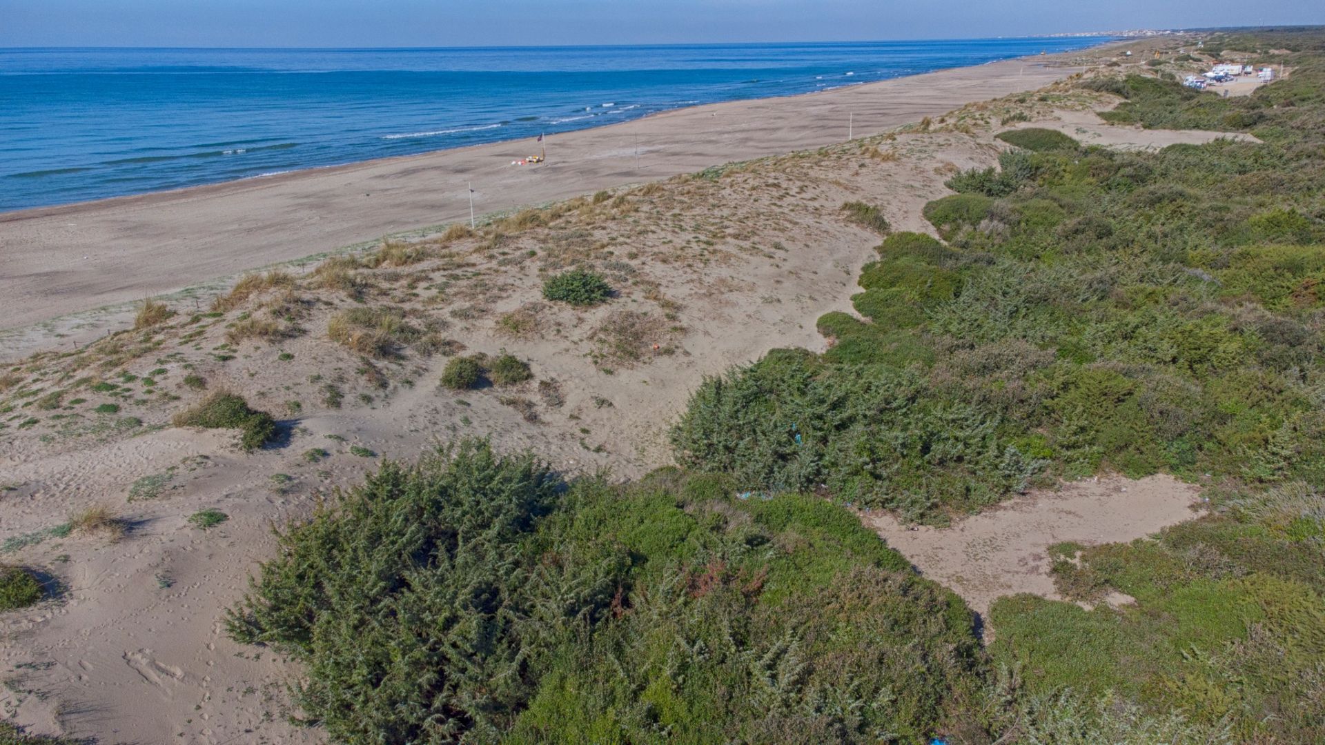 La storia delle dune di Capocotta